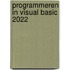 Programmeren in Visual Basic 2022