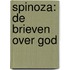 Spinoza: de Brieven over God