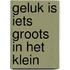 Geluk is iets groots in het klein