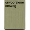 Onvoorziene omweg by Bert Bergs