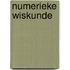 Numerieke wiskunde