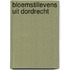 Bloemstillevens uit Dordrecht
