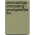 Stormachtige ontmoeting / Onvergetelijke flirt