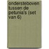 Ondersteboven tussen de petunia's (set van 6)