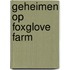 Geheimen op Foxglove Farm