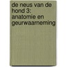 De neus van de hond 3: Anatomie en geurwaarneming door Linda Vermaas