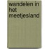Wandelen in het Meetjesland