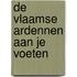 De Vlaamse Ardennen aan je voeten