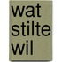 Wat stilte wil