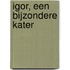Igor, een bijzondere kater