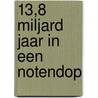13,8 miljard jaar in een notendop by Klaas Schonenberg