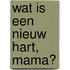Wat is een nieuw hart, mama?