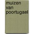 Muizen van Poortugael