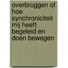 Overbruggen of hoe synchroniciteit mij heeft begeleid en doen bewegen door Pieter Sluis