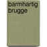 Barmhartig Brugge
