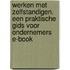 Werken met zelfstandigen. Een praktische gids voor ondernemers E-book