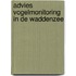 Advies Vogelmonitoring in de Waddenzee