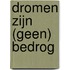 Dromen zijn (geen) bedrog