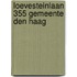 Loevesteinlaan 355 Gemeente Den Haag