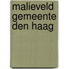 Malieveld Gemeente Den Haag door K. Lehmann