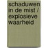 Schaduwen in de mist / Explosieve waarheid