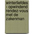 Winterliefdes - Opwindend rendez-vous met de zakenman