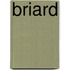 Briard