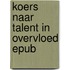 Koers naar talent in overvloed epub