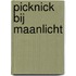Picknick bij maanlicht