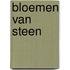 Bloemen van steen