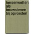 Hersenwetten als bouwstenen bij opvoeden