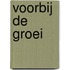 Voorbij de groei