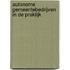 Autonome gemeentebedrijven in de praktijk