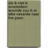 Als ik niet in amsterdam woonde zou ik er elke vakantie naar toe gaan.