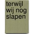 Terwijl wij nog slapen