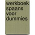 Werkboek Spaans voor Dummies