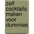 Zelf cocktails maken voor Dummies