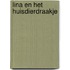 Lina en het huisdierdraakje
