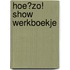 Hoe?Zo! Show werkboekje