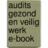 Audits gezond en veilig werk E-book
