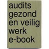 Audits gezond en veilig werk E-book door Jan Dillen