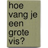 Hoe vang je een grote vis? door Hans Sibbel