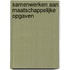 Samenwerken aan maatschappelijke opgaven