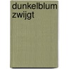 Dunkelblum zwijgt door Eva Menasse