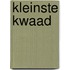 Kleinste kwaad