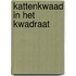 Kattenkwaad in het kwadraat