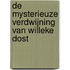 De mysterieuze verdwijning van Willeke Dost