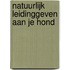 Natuurlijk leidinggeven aan je hond