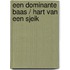Een dominante baas / Hart van een sjeik