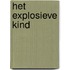 Het explosieve kind